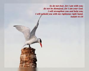 Daily Scripture Art Isaiah 41 10